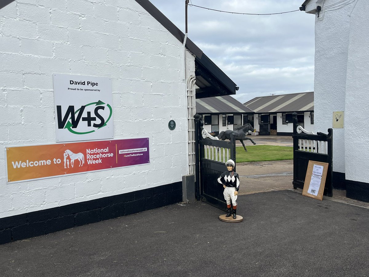 David Pipe tweet media