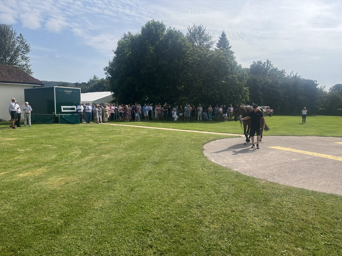 David Pipe tweet media