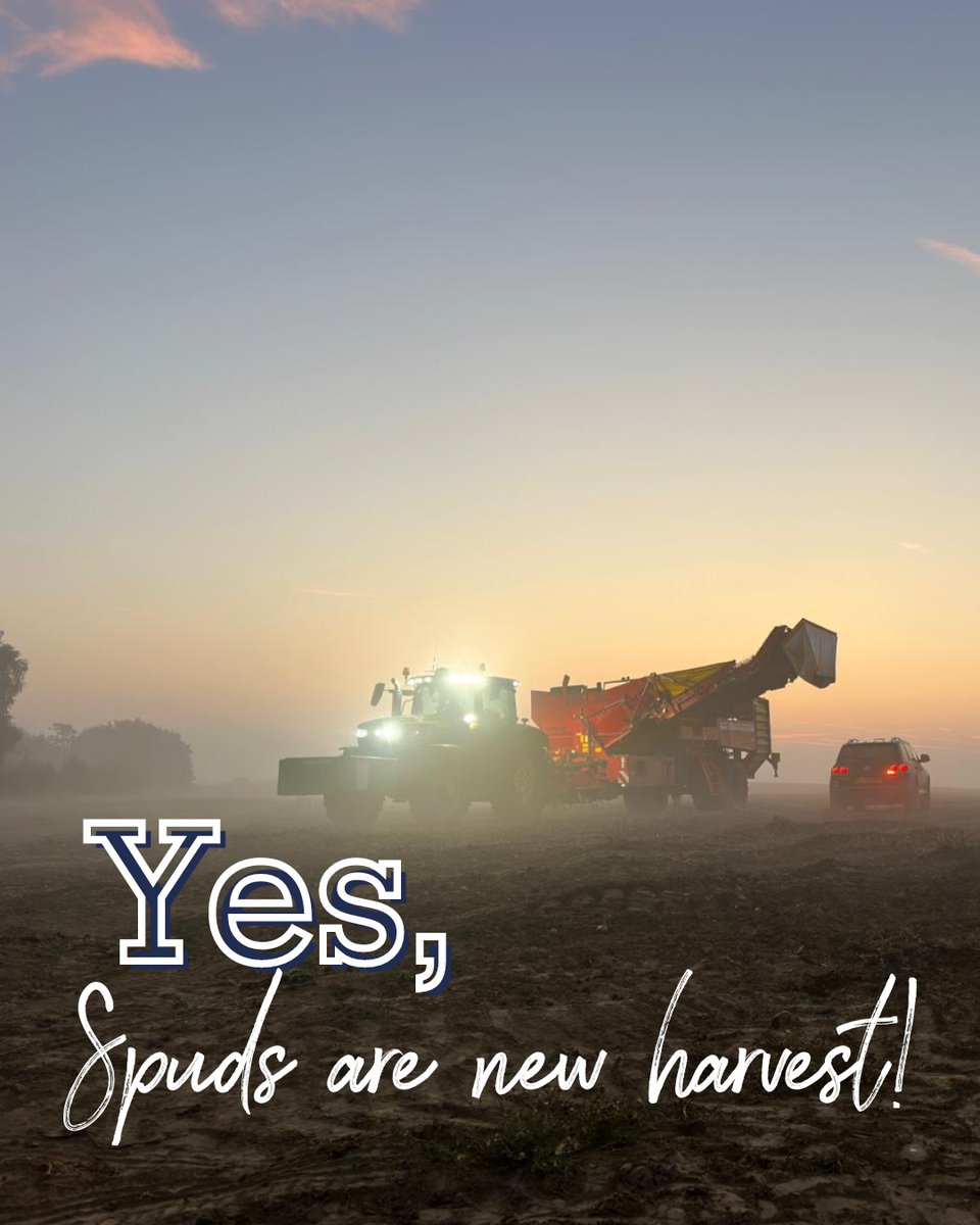 That's right... Potatoes washed, potatoes unwashed... you want 'em, we got 'em.