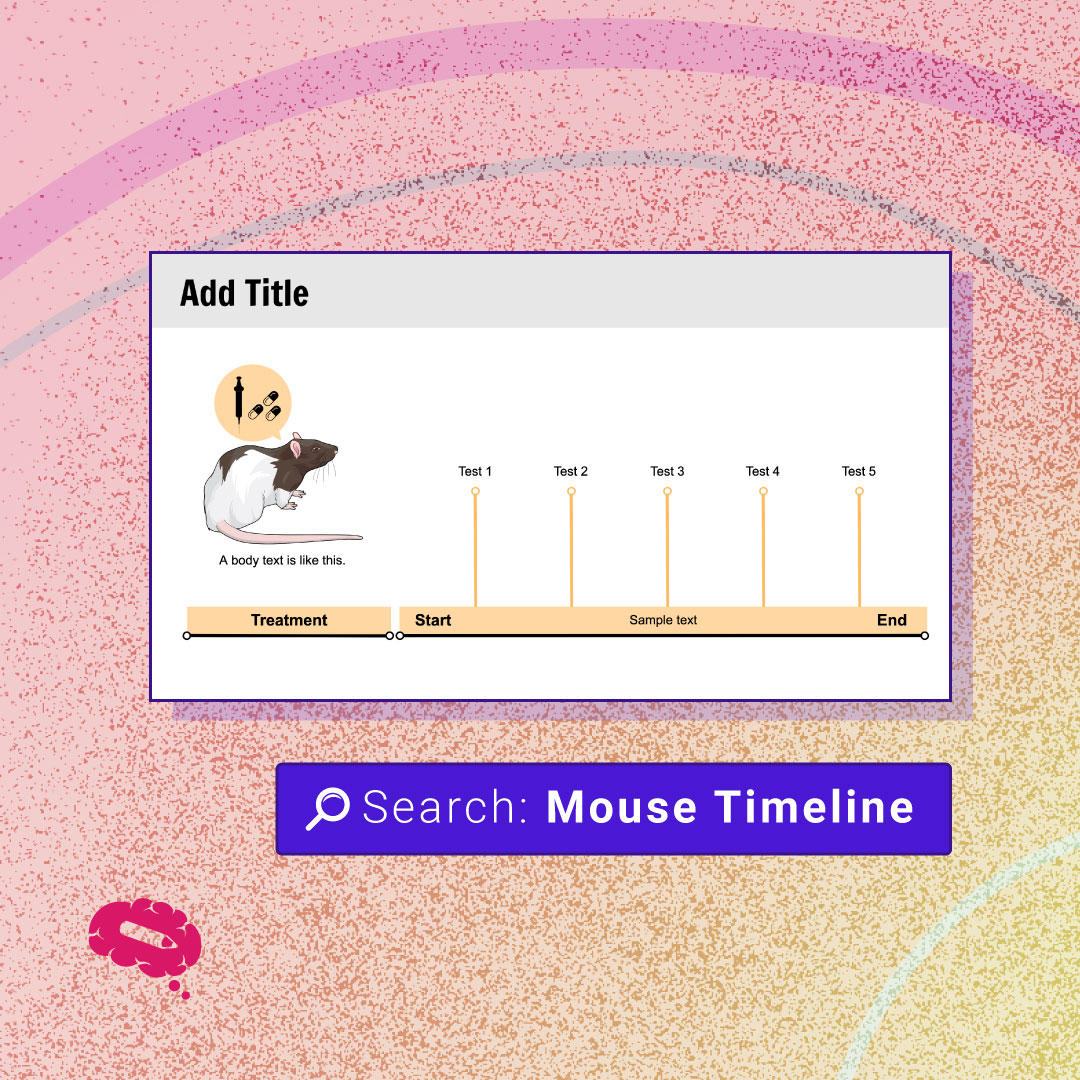 mindthegraph's tweet image. Mouse Timeline

Try it on the platform ➡️ bit.ly/mouse-timeline

#sciComm #template #presentationtemplate #postertemplate