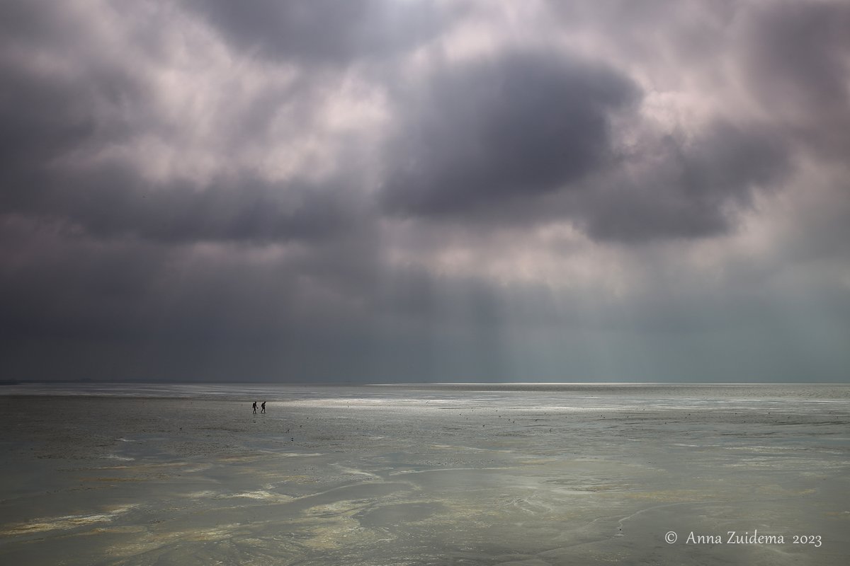 Anna Zuidema 🌤🌧☔🌪⛈❄ tweet media