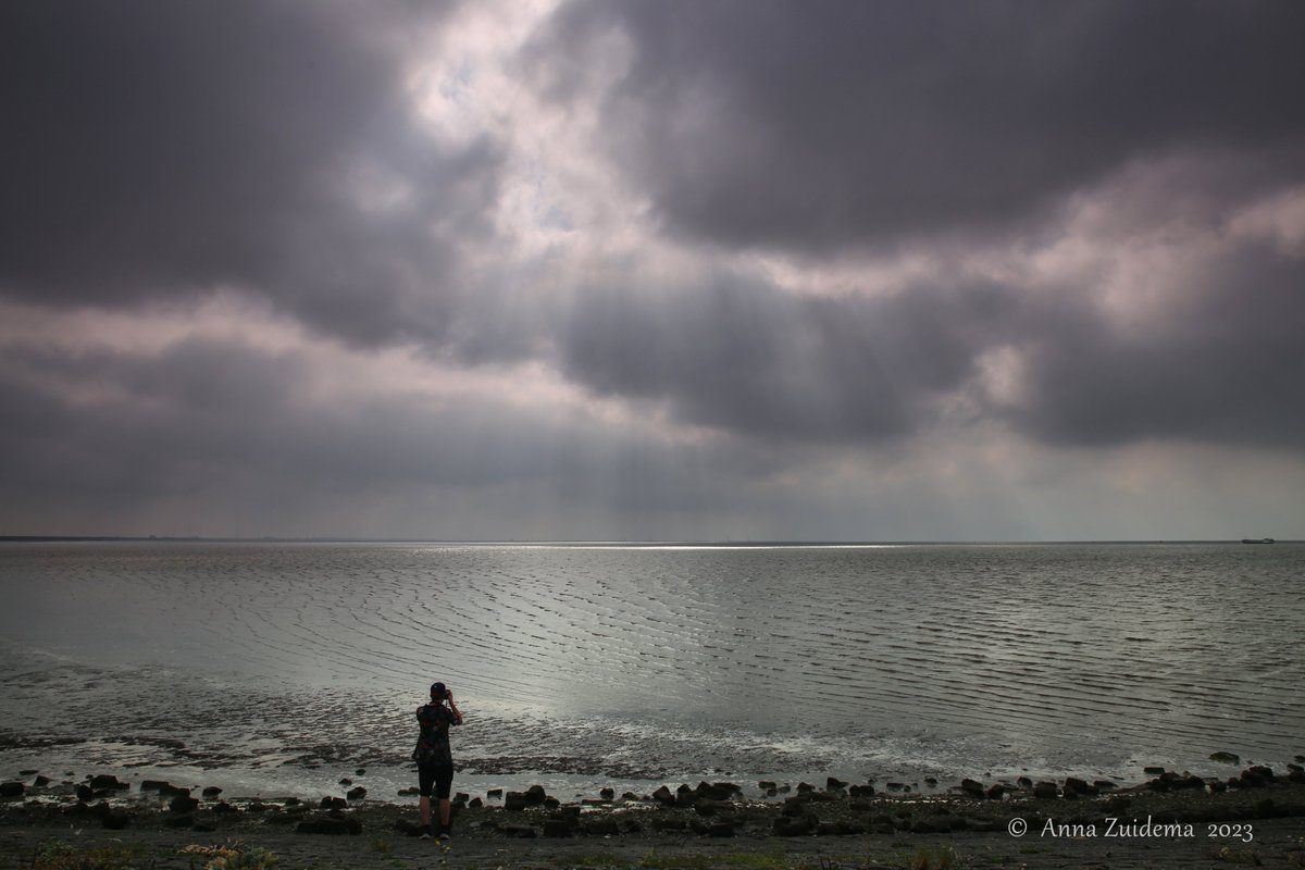 Een zonovergoten start van de dag, maar in de middag steeds meer bewolking... #Harlingen <a href="/BuienRadarNL/">Buienradar</a> @Talpaweer #weerfoto #weerfotografie <a href="/Weerplaza/">Weerplaza.nl</a> <a href="/NOS/">NOS</a> #fryslân #friesland <a href="/OmropFryslan/">Omrop Fryslân</a> <a href="/lc_nl/">Leeuwarder Courant</a> #waddensea #waddenzee #mooiestadaanhetwad #wolken #zon #zee #zonnestralen