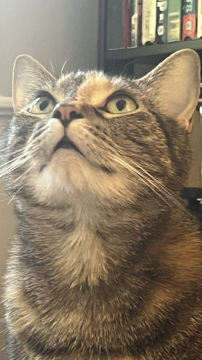 youtu.be/yiSlecGVfj8?si…