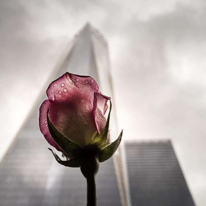 Yellowcard's tweet photo. “For those lost and the heroes that made the ultimate sacrifice that day, we think about the love inside, the strength of heart.”
@williamryankey 
•
📸 @RyanMendez https://t.co/BNetHyKe9S