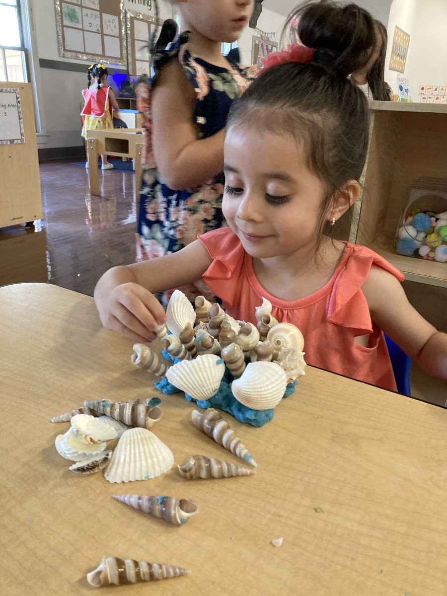 ColusaCOE's tweet photo. Last week, students and staff at @ccoechildren preschools had a whale of a time learning about the beach! https://t.co/bP1jLz8VtE