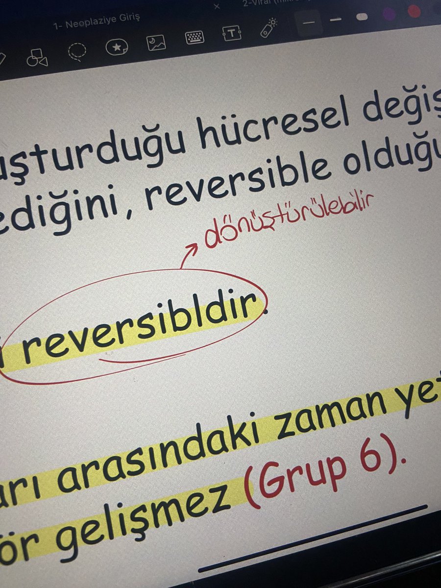 Çıtırdan başlayalım dedik🐒