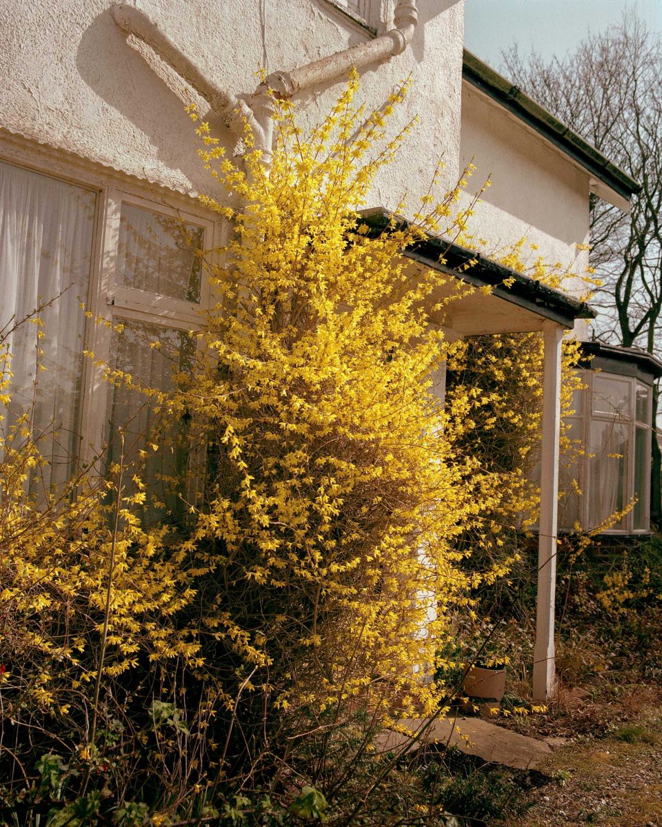 loupemag tweet media