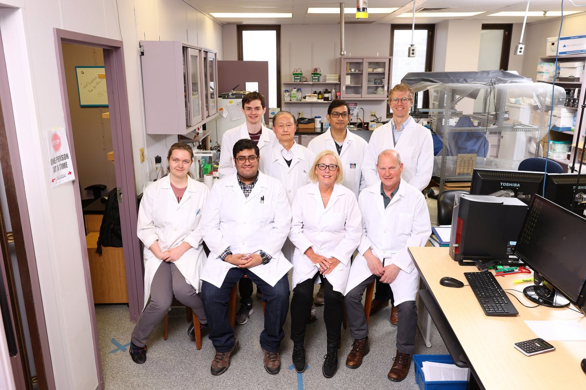 APS Publications (@apspublications) on Twitter photo These authors won the #APSselect award in <a href="/ajpheartcirc/">AJP-Heart and Circ</a> for "Chronic testosterone deficiency increases late inward sodium current & promotes triggered activity in ventricular myocytes from aging male mice"👏
ow.ly/Vblt50PJl2n
<a href="/mmishrabio/">Manish Mishra</a> <a href="/dysrhythmology/">Robert Rose, PhD, FHRS</a> <a href="/SusanEHowlett/">Susan Howlett</a> These authors won the #APSselect award in <a href="/ajpheartcirc/">AJP-Heart and Circ</a> for "Chronic testosterone deficiency increases late inward sodium current & promotes triggered activity in ventricular myocytes from aging male mice"👏
ow.ly/Vblt50PJl2n
<a href="/mmishrabio/">Manish Mishra</a> <a href="/dysrhythmology/">Robert Rose, PhD, FHRS</a> <a href="/SusanEHowlett/">Susan Howlett</a>