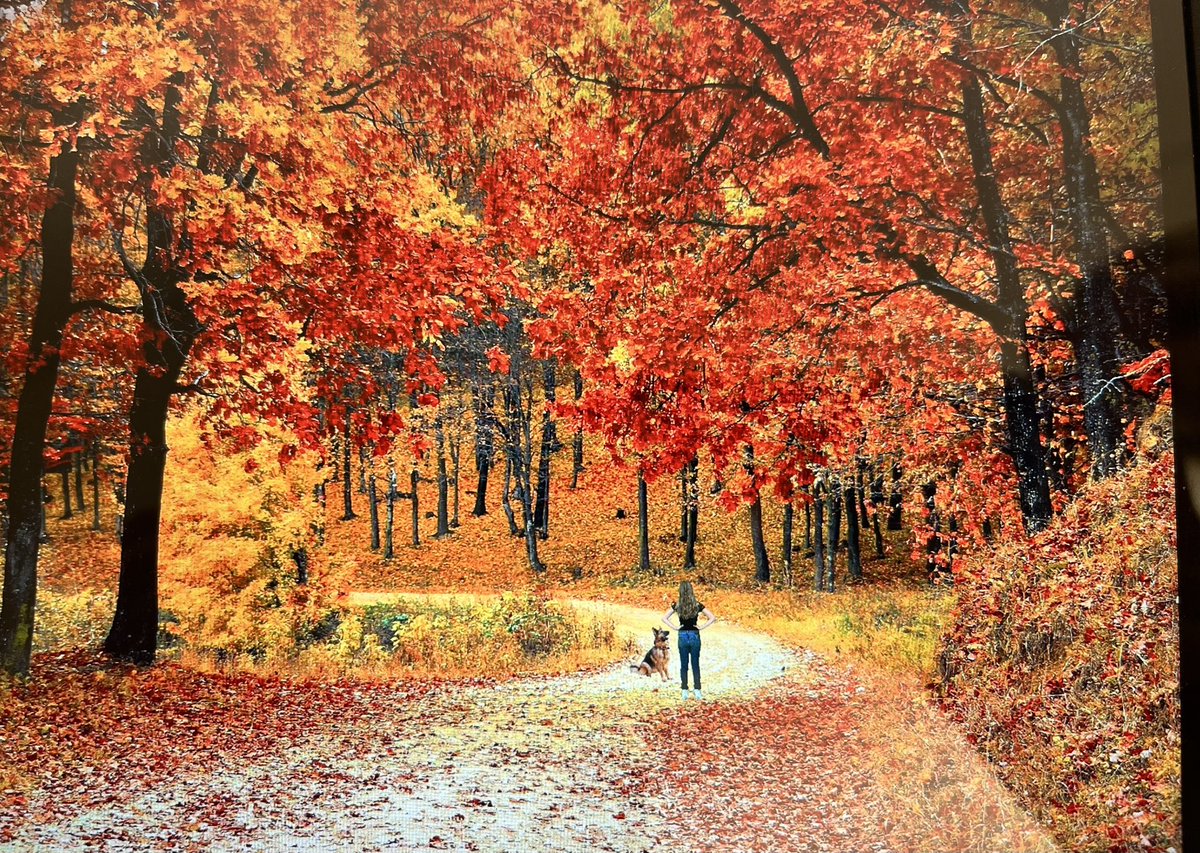 Sandra N tweet media