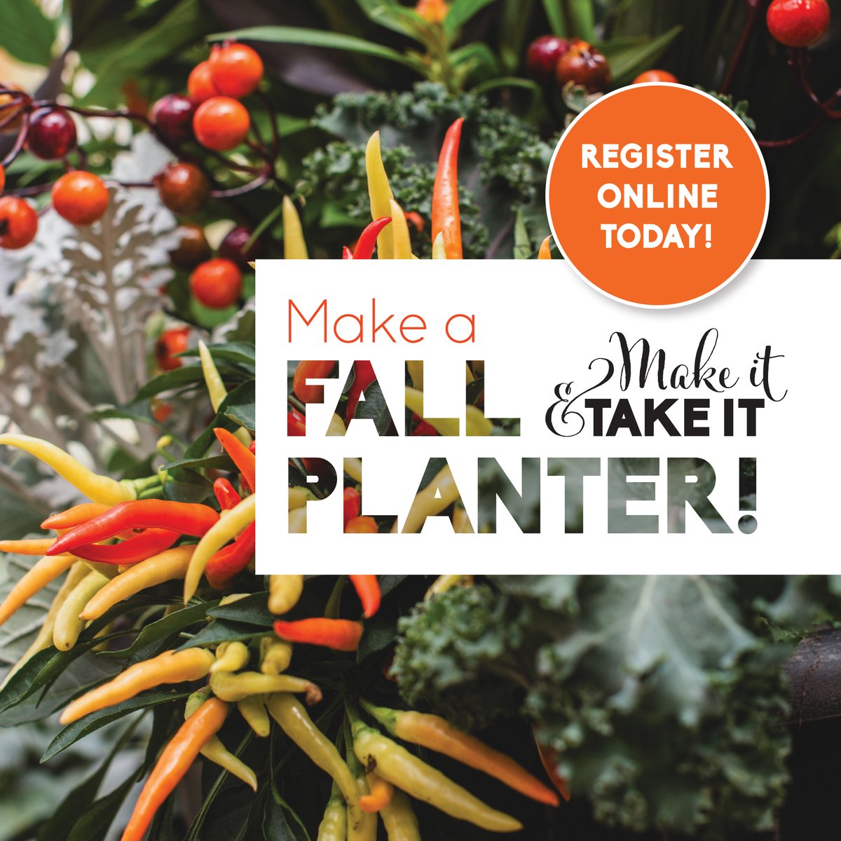 Work with a Sheridan Nurseries designer to create a custom fall planter!  Featuring seasonal florals, grasses, and accents, you will leave this workshop with a beautiful planter to showcase on your front porch.   Sign up online today!
ow.ly/ojYb50PKbY5