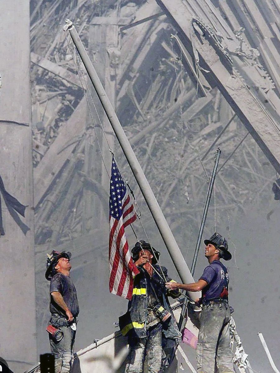 Zeynep “Z” Ekemen tweet media