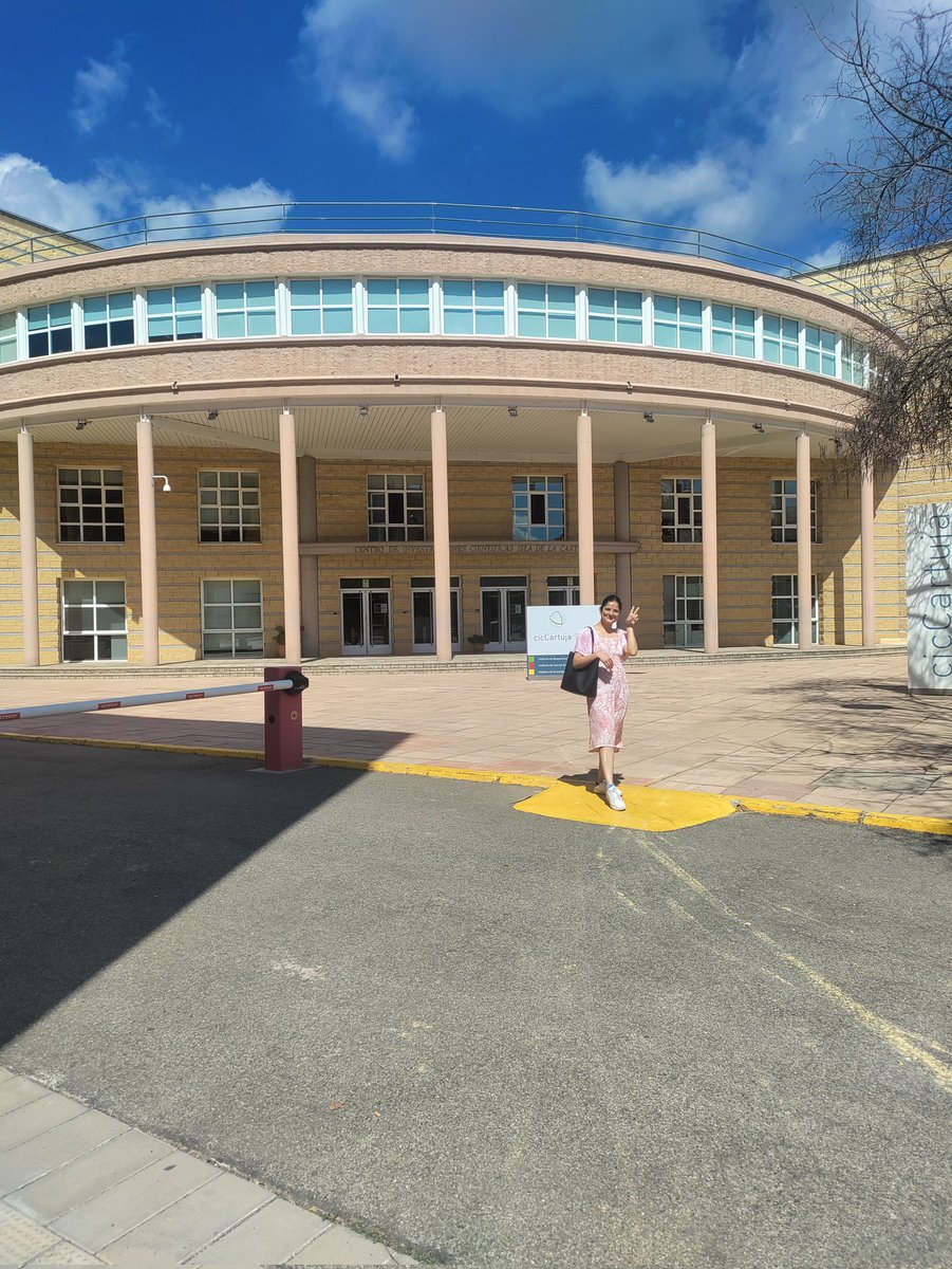 PhDwithShailza's tweet photo. Exciting news! ⭐
I'm delighted to announce my new role as a visiting researcher at the Materials Science Institute of Seville, where I'll be conducting Operando DRIFTS experiments for the next two months. Thanks to my supervisor @kelly_kousi and funder @santanderuk for support. https://t.co/3g3wC1asvi