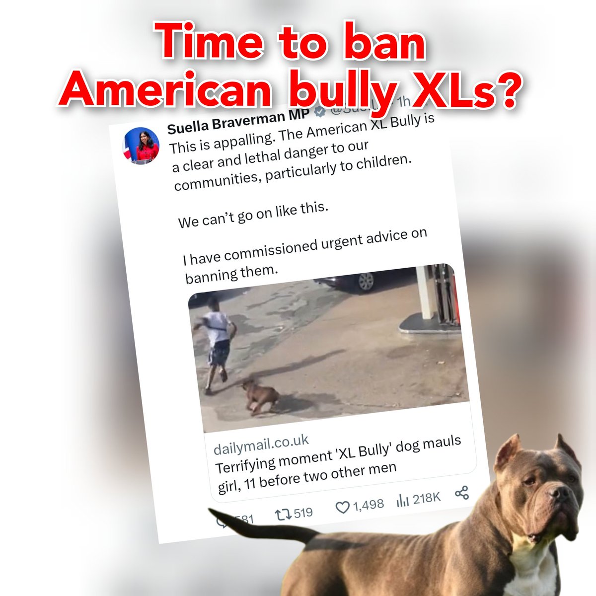 🤔 Q: What say YOU❓❔❓
#SuellaBraverman #AmericanBullyXLs #HomeSecretary #DogAttacks #BordesleyGreen #Birmingham #StaffordshireBullTerrier #DangerousDogs