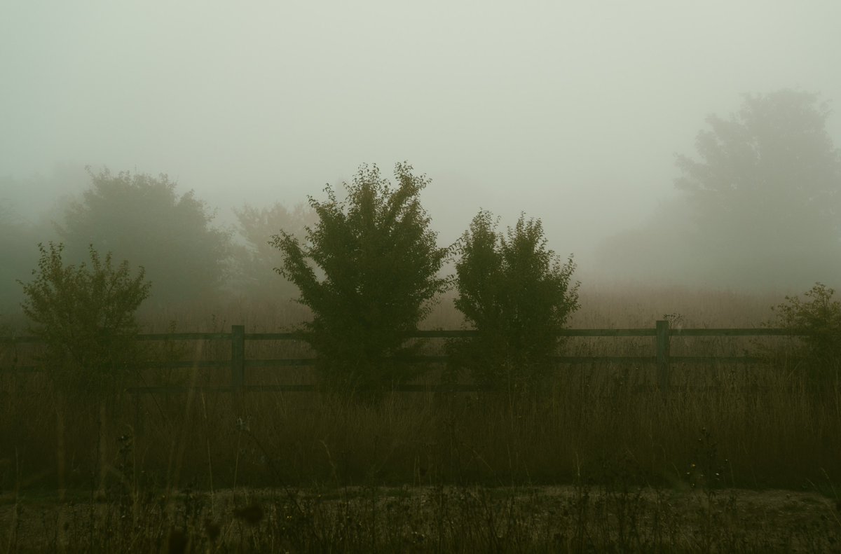 zosphotos's tweet photo. Silent running https://t.co/6QvLcU8PzK