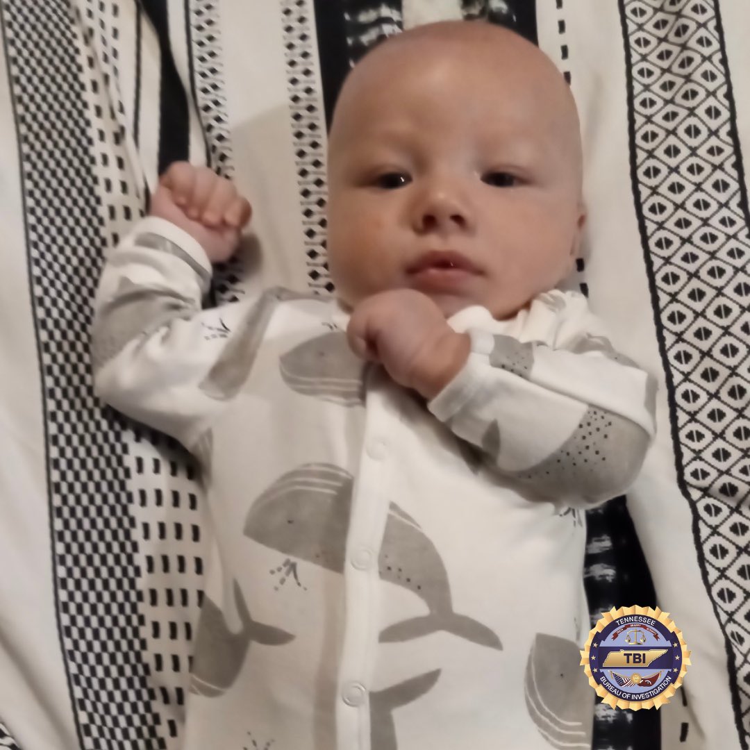 TBInvestigation's tweet image. A #TNEndangeredChildAlert has been issued for 3-month-old Elijah Harvey, missing out of Chattanooga.

Elijah is 13 pounds, has blue eyes, and was last seen wearing light blue pajamas with dinosaurs. 

Call 423-698-2525 with info.