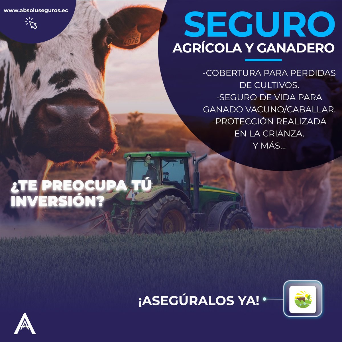 -#Cobertura contra #heladas, #excesos de humedad, #granizadas, #Vientos, #inundaciones, #sequias, #deslizamientos, #taponamientos y #plagas. -#Protege la #inversion realizada en la crianza de #caballos. -#Seguro de #vida para el #ganado. #teamabsoluseguros #contigoincondicional