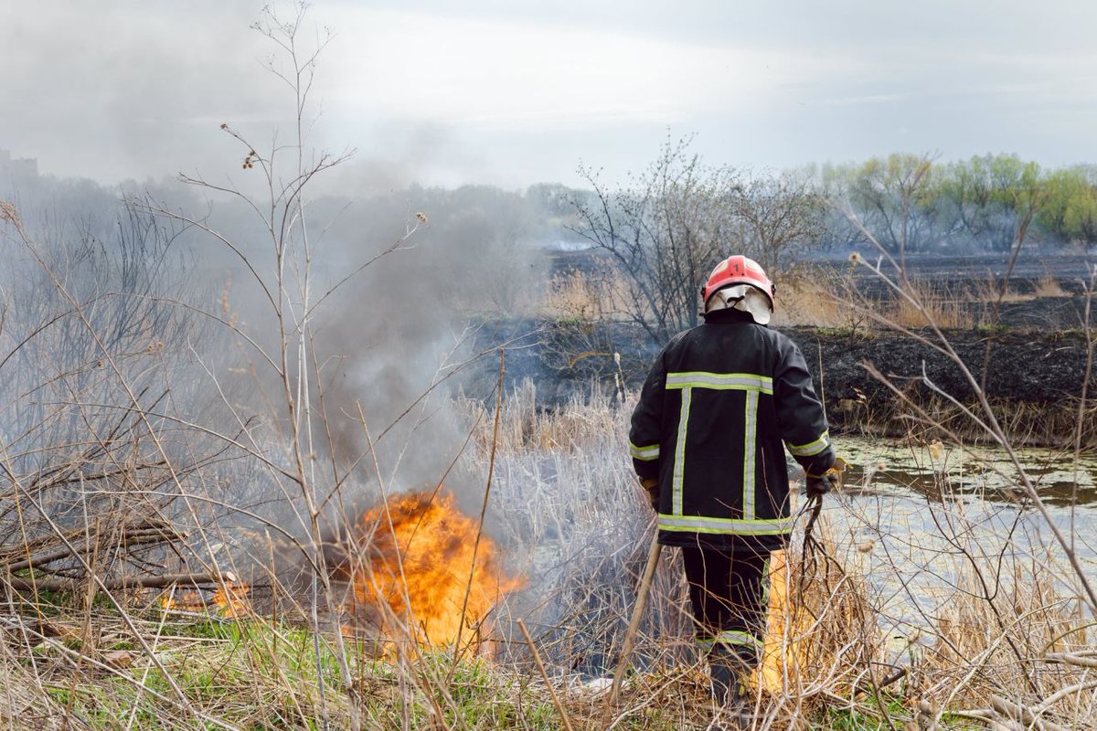 InvestorBusine3's tweet image. CiTech $CTTT $CITLF has done very innovative and impressive work. They&apos;re supporting emergency services with the reliable communication infrastructure. This new tech stock is going to fly high 🚀🚀 #CITech #communications #disastersolutions #defense #mining