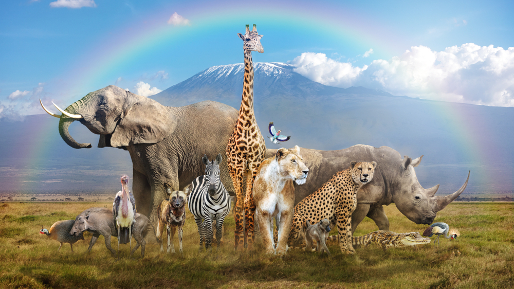 BHComplexity's tweet photo. 1/ Geoffrey West of @sfiscienceon why bigger is better in complex systems - as animals get larger, they become more efficient. Double the size of an animal, and you only have to increase it's metabolic rate by 75%. You get a 25% saving. https://t.co/61P0nunWqo