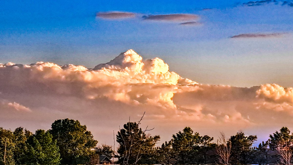 MountsofKansas's tweet image. Meadowlark Mountain