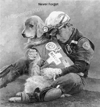 YannickFerrand's tweet photo. #11septembre2001
Pensées solidaires pour les pompiers,  policiers,sauveteurs  sortis des décombres handicapés,broyés psychologiquement inaptes au travail que sont ils devenus ? 
Comment vivent ils dans ce système US où la couverture médicale et sociale est quasi inexistante ? https://t.co/RcMtlHcVPG