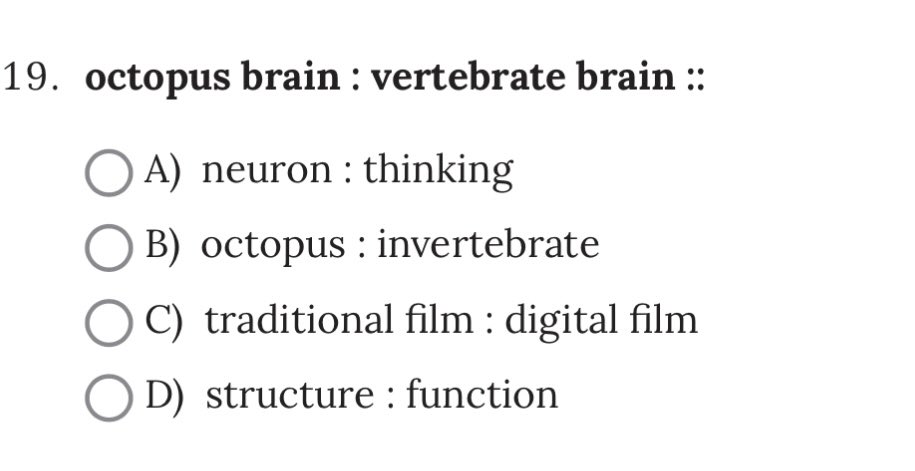 Max Collard tweet media