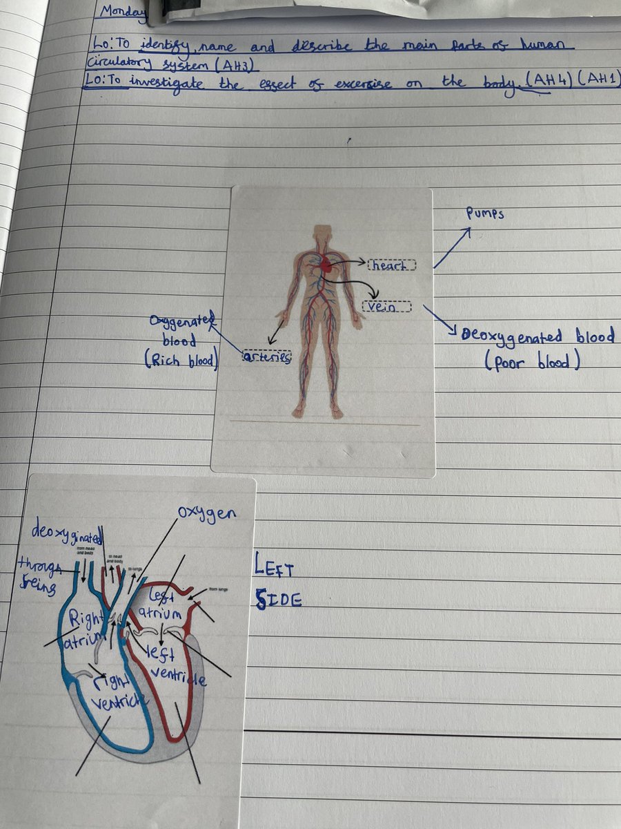 Gade_WPA's tweet photo. Great work in our 1st Science lesson today looking at how our bodies work! We specifically looked at our circulatory system, highlighting the key features and functions! #WatersideScience https://t.co/D1cdRqYcyQ