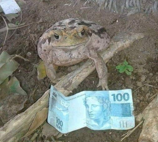 🚨COMO BATI 100K DE SEGUIDORES VAI TER SORTEIO

💰 PRÊMIO DE R$100

 PARA PARTICIPAR PRECISA:

↪️ SEGUIR A <a href="/ofcpromo/">promo out of context</a> 

↪️ Dar rt no post

🫡 Resultado amanhã 12:00

boa sorte pra vcs!!