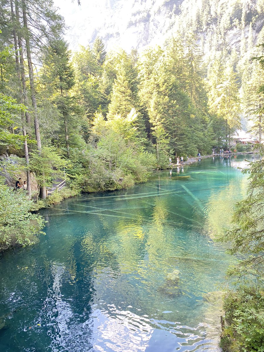 Rocks D Jorko tweet media