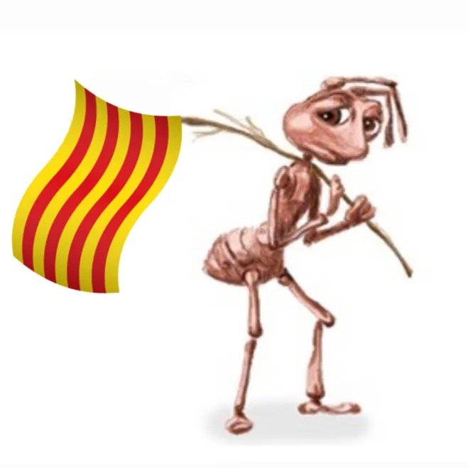 formiga cansada amb senyera