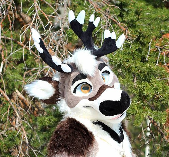 𒌐 Nordstrom ➡️✈️ TFF tweet media