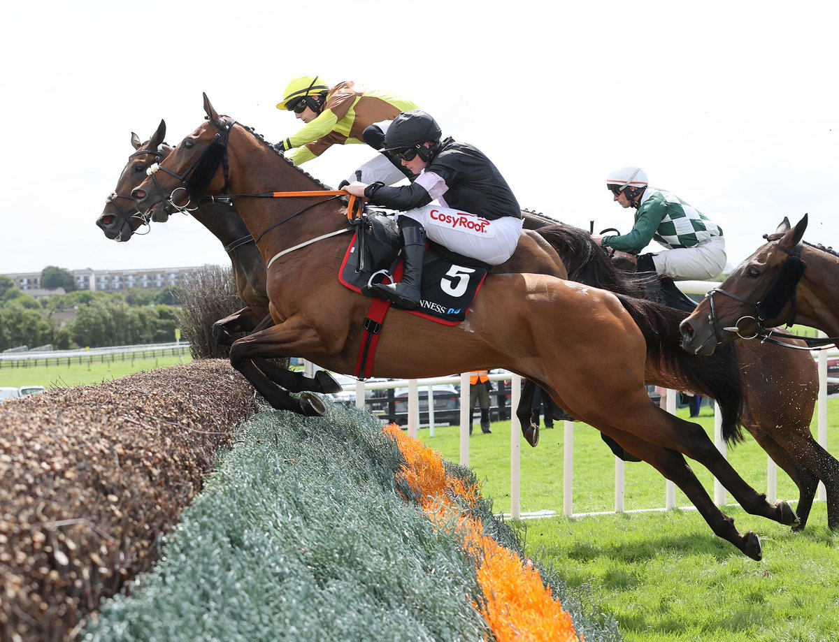 Pioneer Horse Racing tweet media