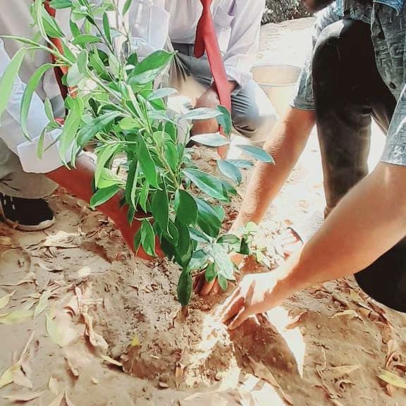 youth_prs's tweet photo. Pakistan Rising Stars Chapter Multan conducted a plantation drive in which Aliab Dutt, Shahzaib Dutt, Chaudhry Ramzan and other college students participated

#PakistanRisingStars #PakistanZindaAbad #youthempoverment #youthprs #plantation https://t.co/HnxlXrxIHa