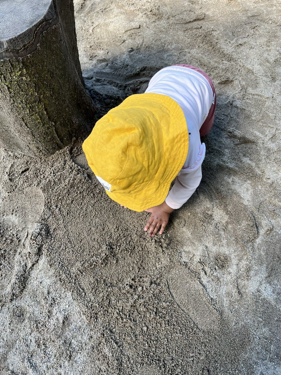 Shirline O. tweet media