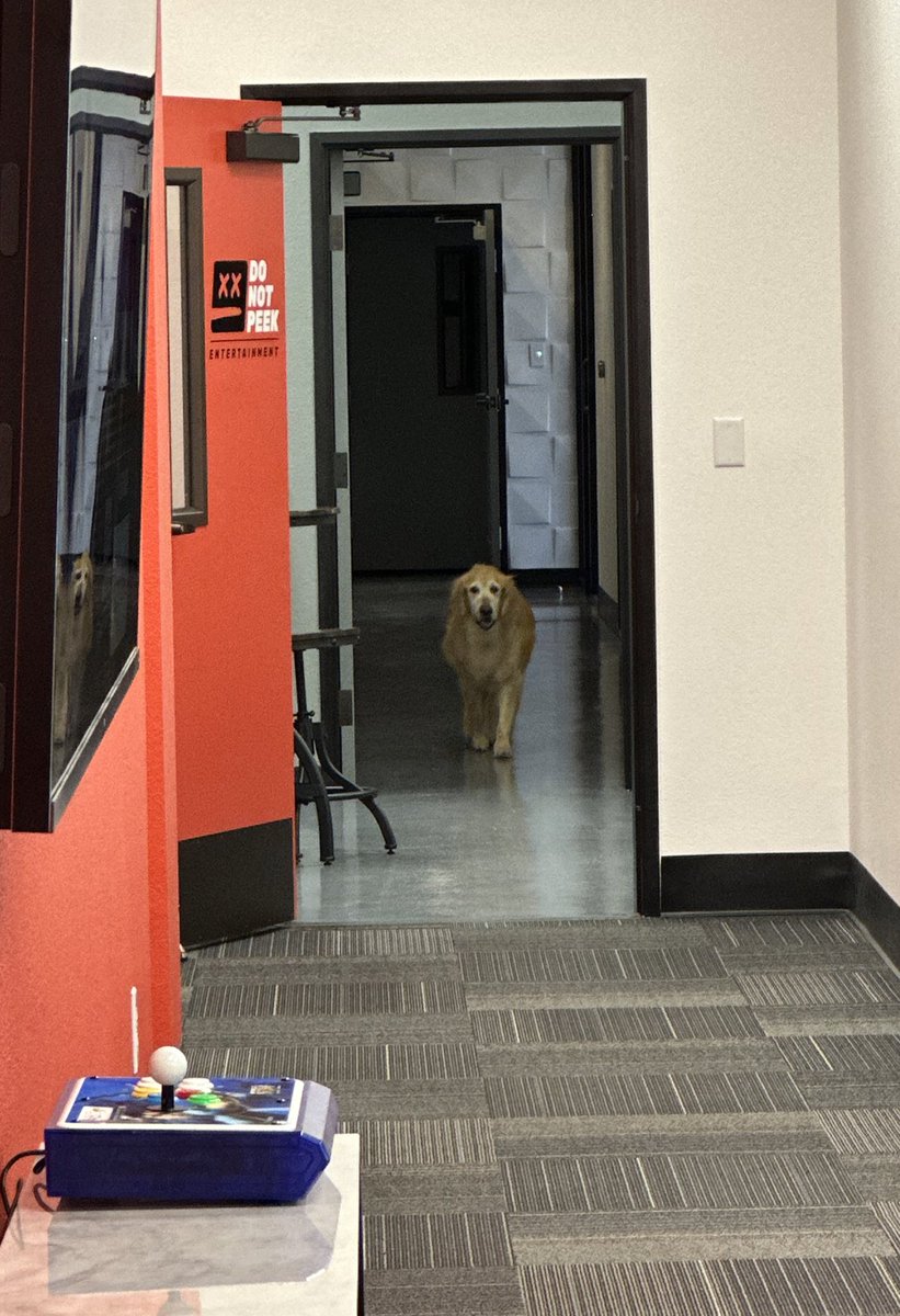 Everybody say hi to the goodest <a href="/BitfireTV/">BitFire</a> studio dog, Joey!