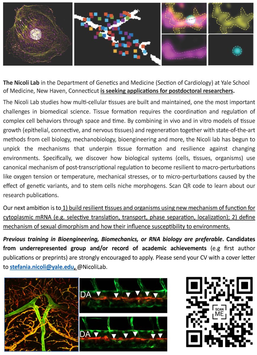 Posdoctoral Positions available <a href="/NicoliLab/">Stefania Nicoli</a>!!! <a href="/YaleGenetics/">Yale Department of Genetics</a> <a href="/YaleCardiology/">Yale Cardiology</a> <a href="/YaleCVRC/">Yale CVRC</a>