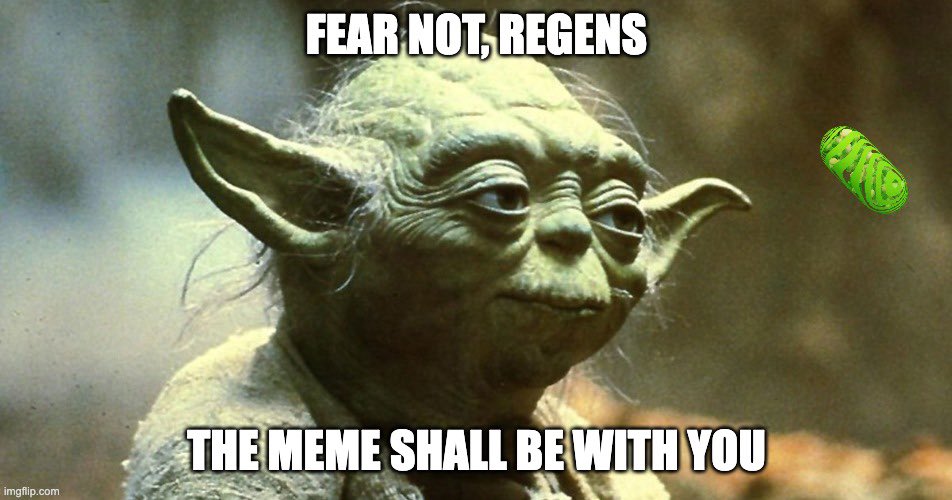 $GP69🧪☯️ (@greenpill69) on Twitter photo 