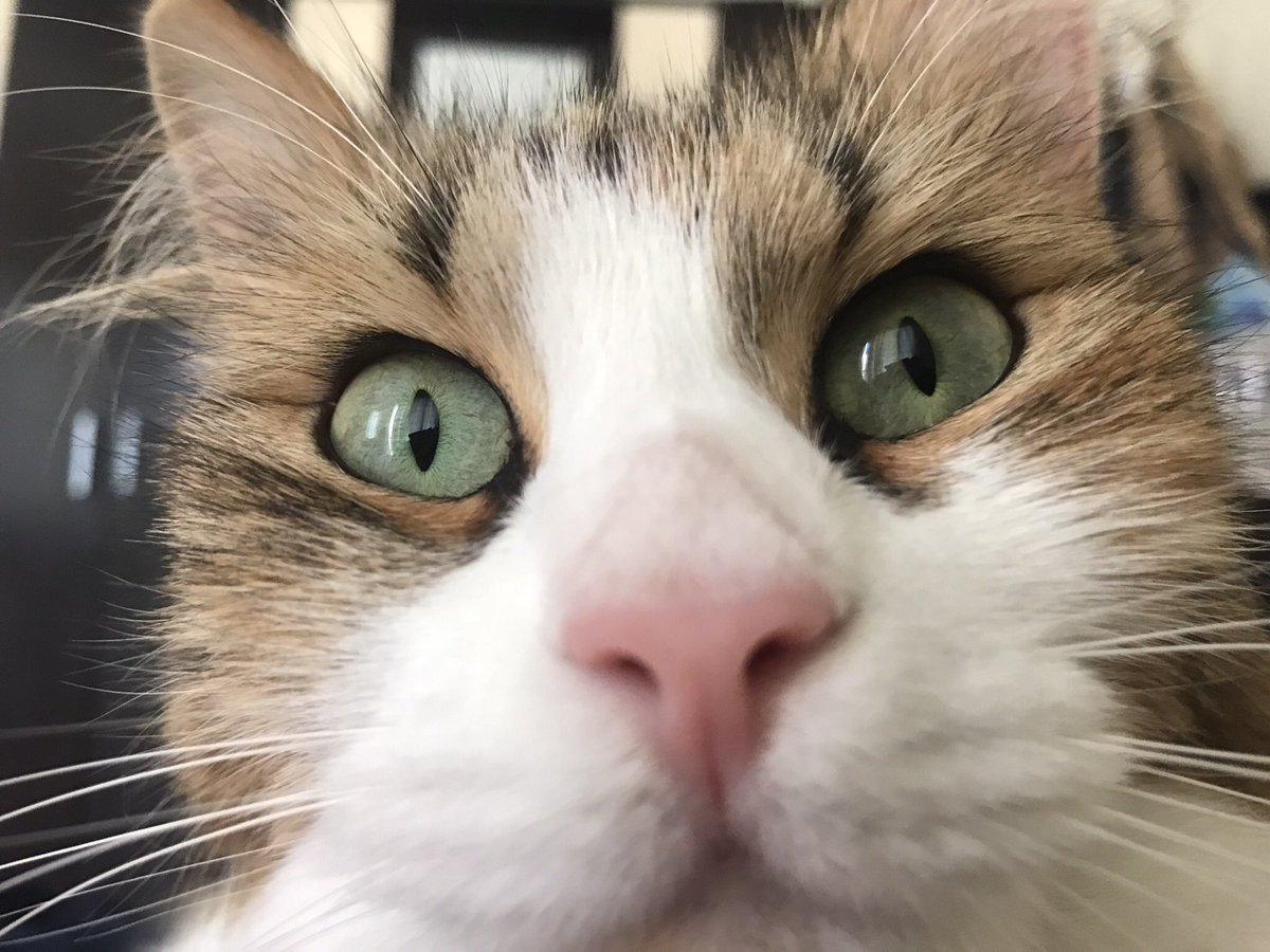 zeyokt's tweet photo. 😳 https://t.co/3qydhDdS6m