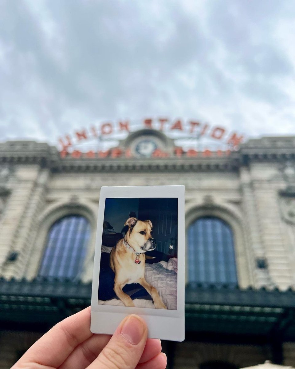 instax North America tweet media