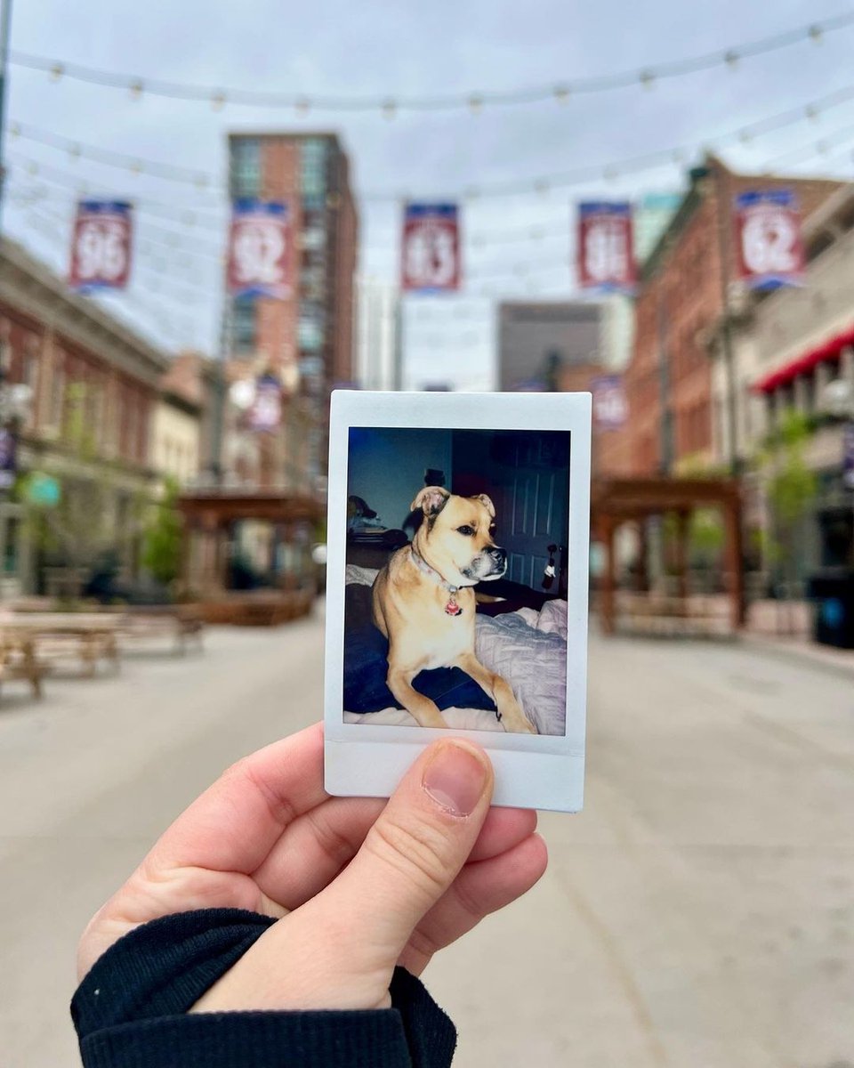 instax North America tweet media