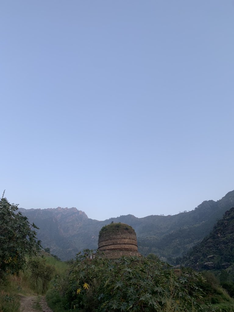 yourskhankamran's tweet photo. 💚🌳 https://t.co/v4Np5m3Dke