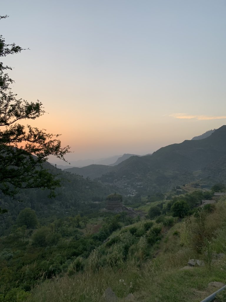 yourskhankamran's tweet photo. 💚🌳 https://t.co/v4Np5m3Dke