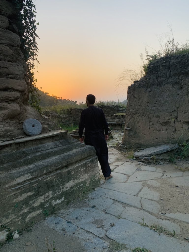 yourskhankamran's tweet photo. 💚🌳 https://t.co/v4Np5m3Dke