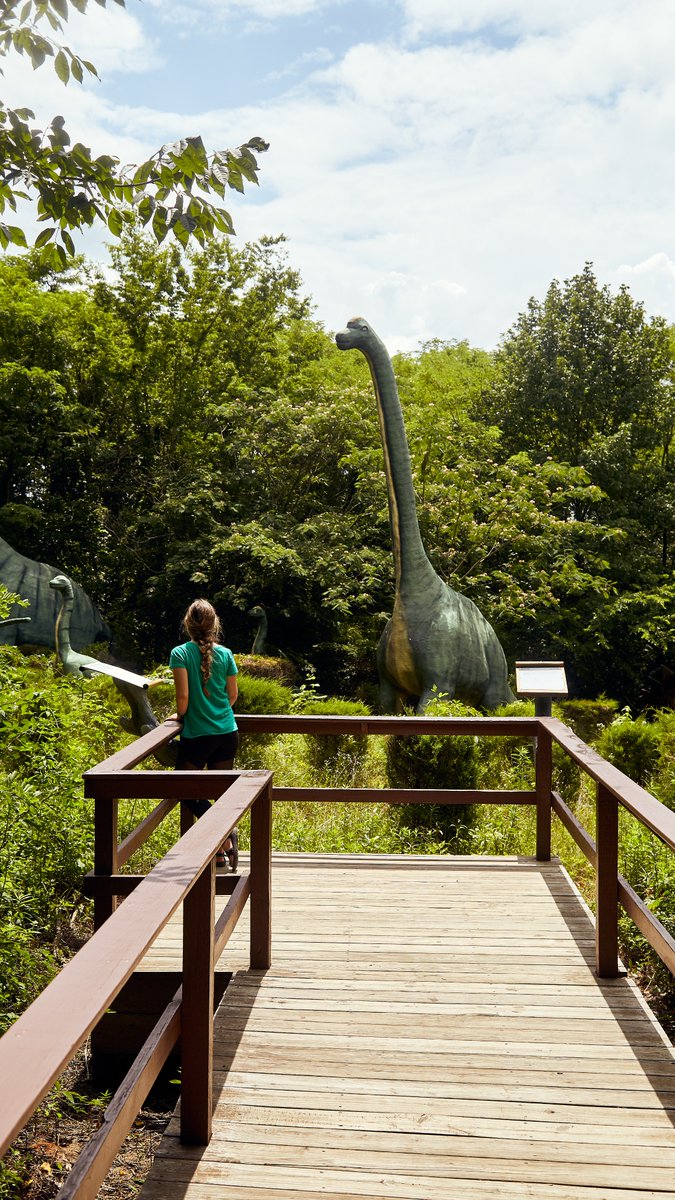 Kentucky Tourism tweet media