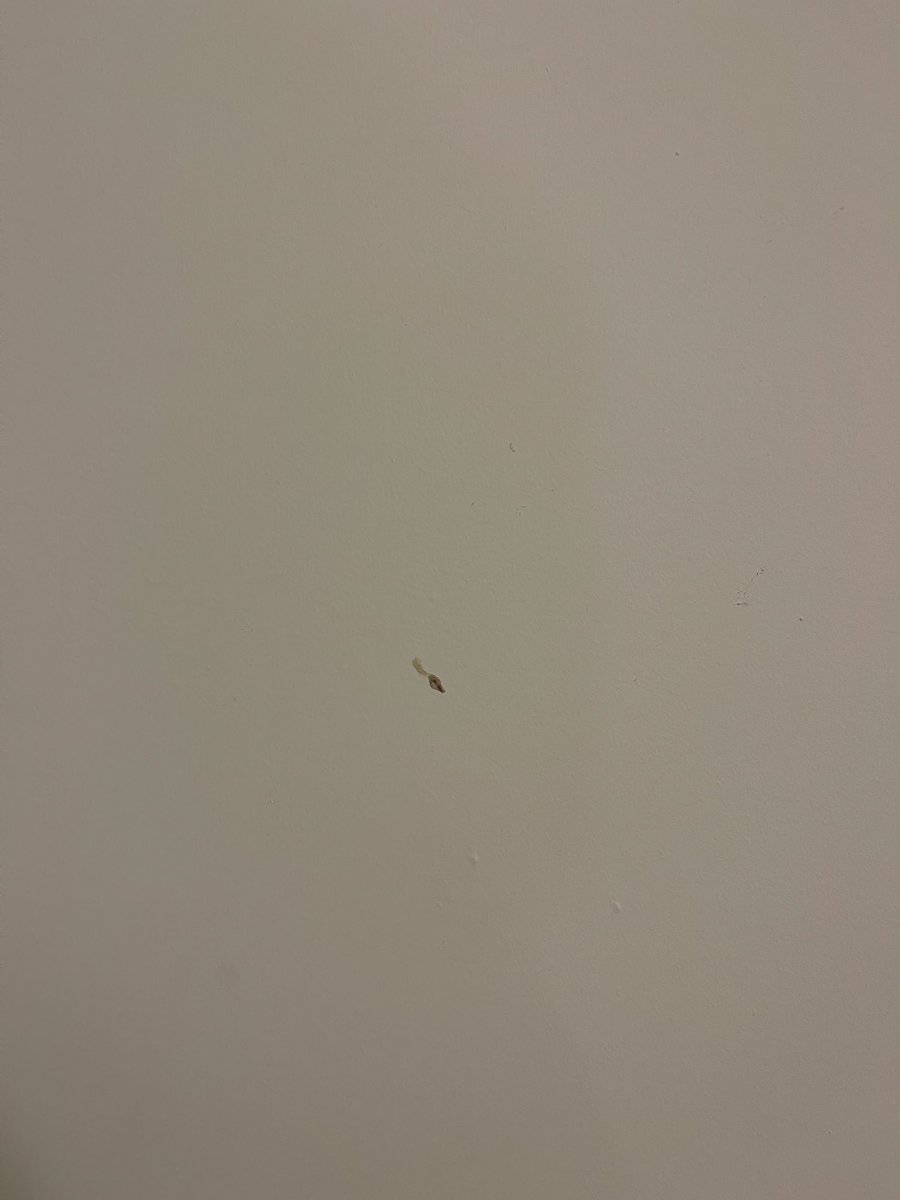 Finding bogies on the wall from previous guests at <a href="/CenterParcsUK/">Total10</a> Elveden forest isn’t the one, at least it kind of looks like a duck.