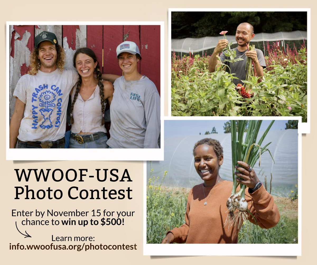 Calling our amazing WWOOFers and hosts! 📷 Ready to share your incredible WWOOF journey and inspire others?

Check out our 2023 Photo Contest and enter for your chance to win up to $500! 🌱

Capture your #WWOOF experience: 10 stunning photos!

Details: info.wwoofusa.org/photocontest