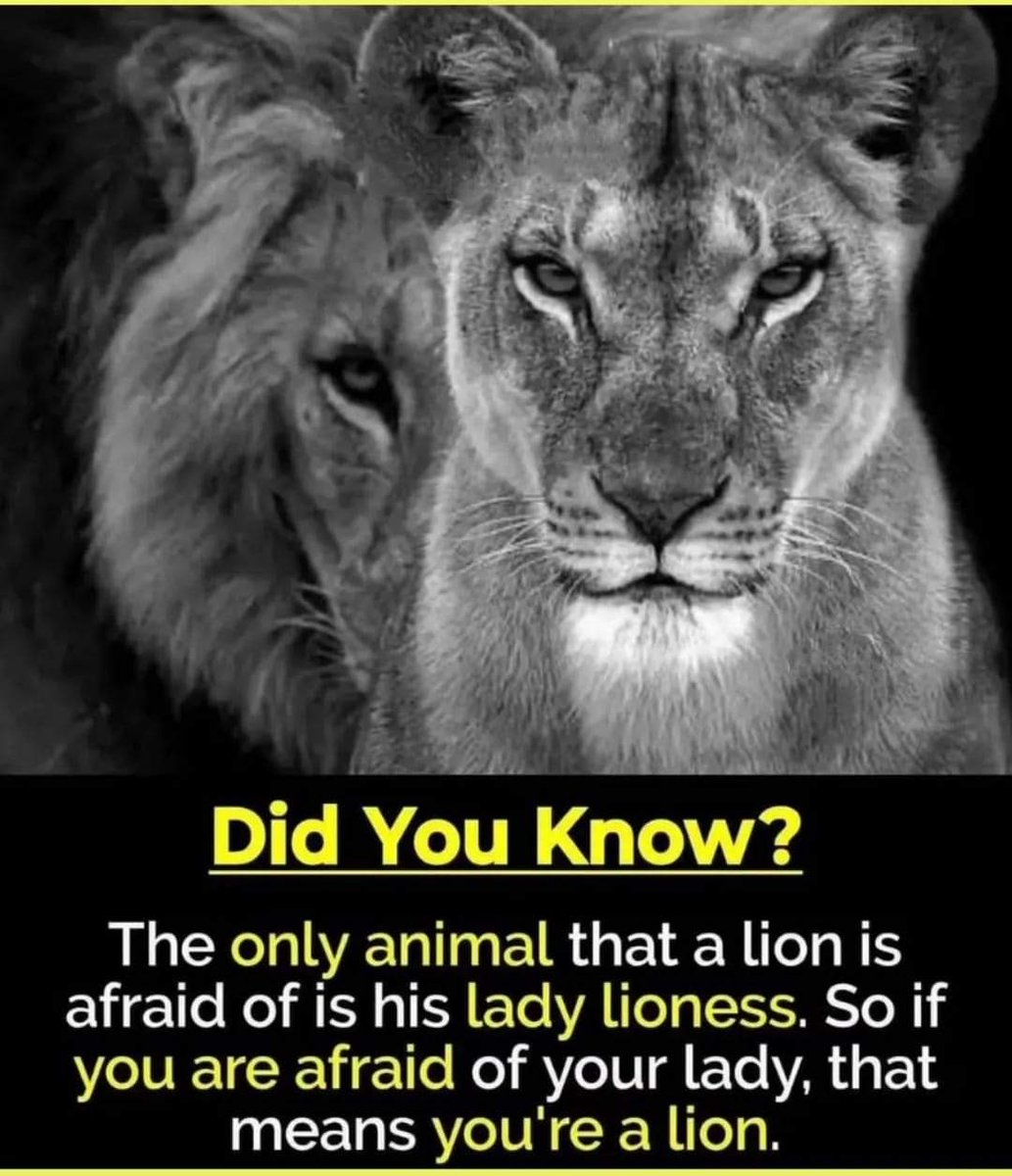 Yogananthan Ramasamy (@smoulderine) on Twitter photo 