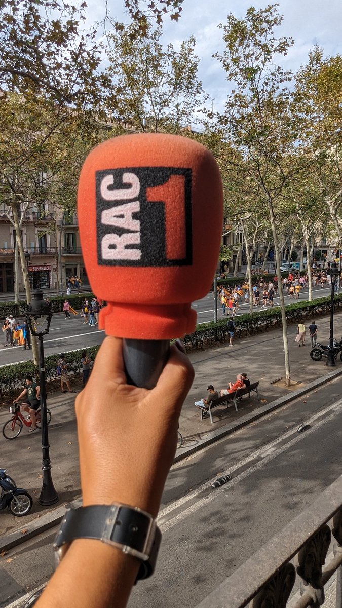 Laia Framis tweet media