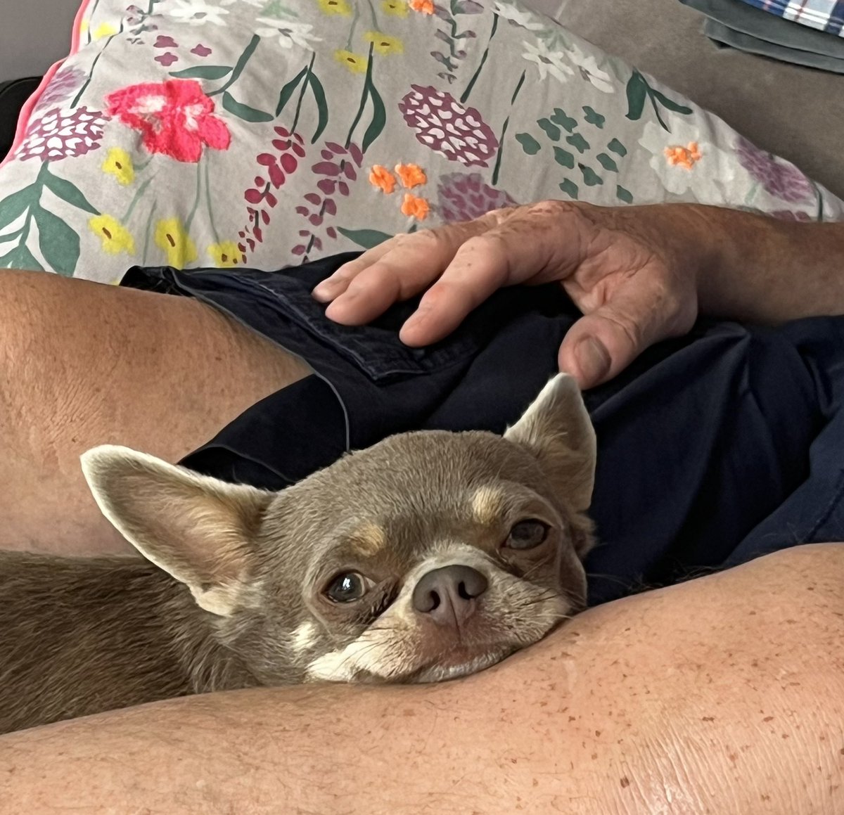 Alice💖 ⭐MIKA⭐ 🎶MUSIC🎶 ✨Check it 🎹 #MNIMH 💛 tweet media