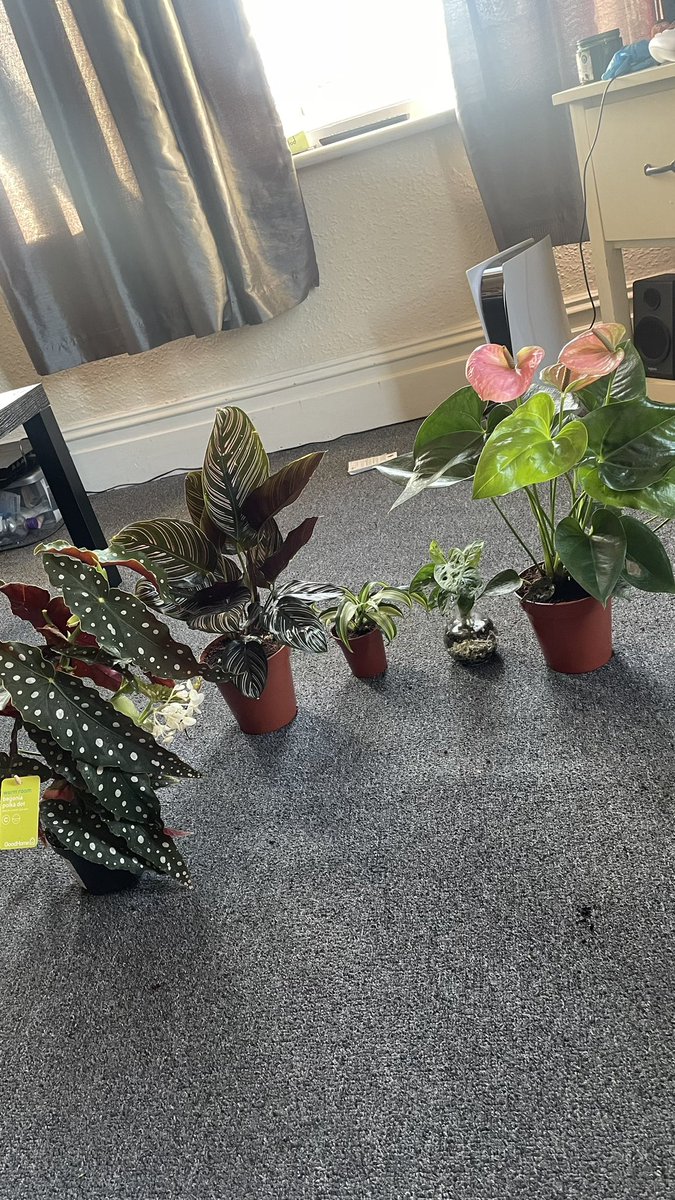 everyone look at my beautiful children