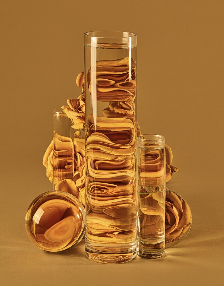 Paloma Rodriguez tweet media